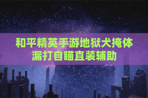 和平精英手游地狱犬掩体漏打自瞄直装辅助