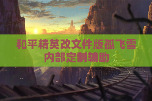 和平精英改文件版孤飞雪内部定制辅助
