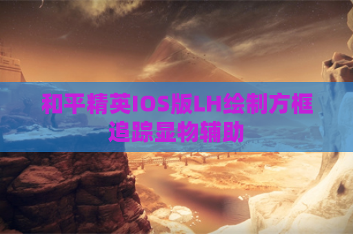 和平精英IOS版LH绘制方框追踪显物辅助