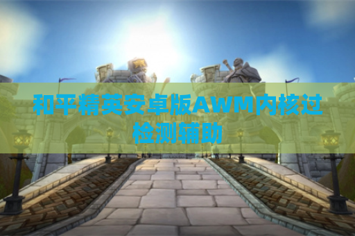 和平精英安卓版AWM内核过检测辅助
