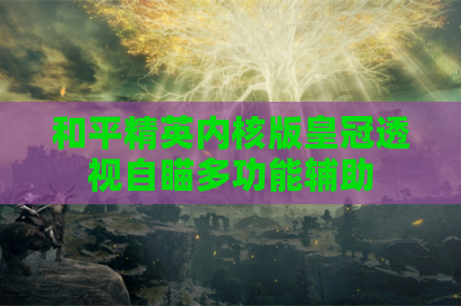 和平精英内核版皇冠透视自瞄多功能辅助