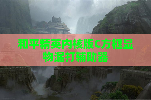 和平精英内核版C方框显物漏打辅助器