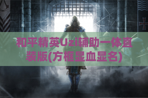 和平精英Uzi辅助一体直装版(方框显血显名)